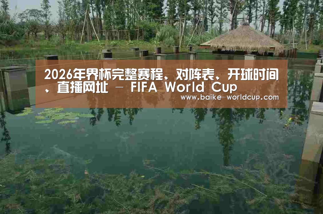 案例展示二(图1)