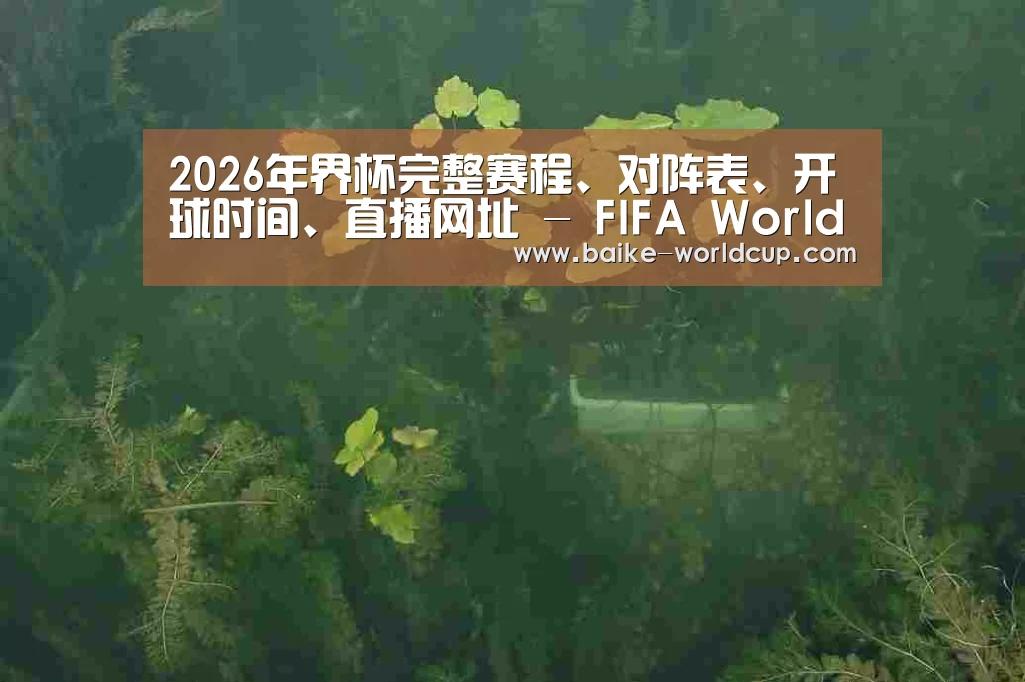 案例展示三