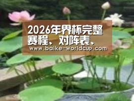产品名称一