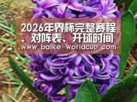产品名称八