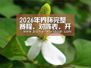 产品名称三